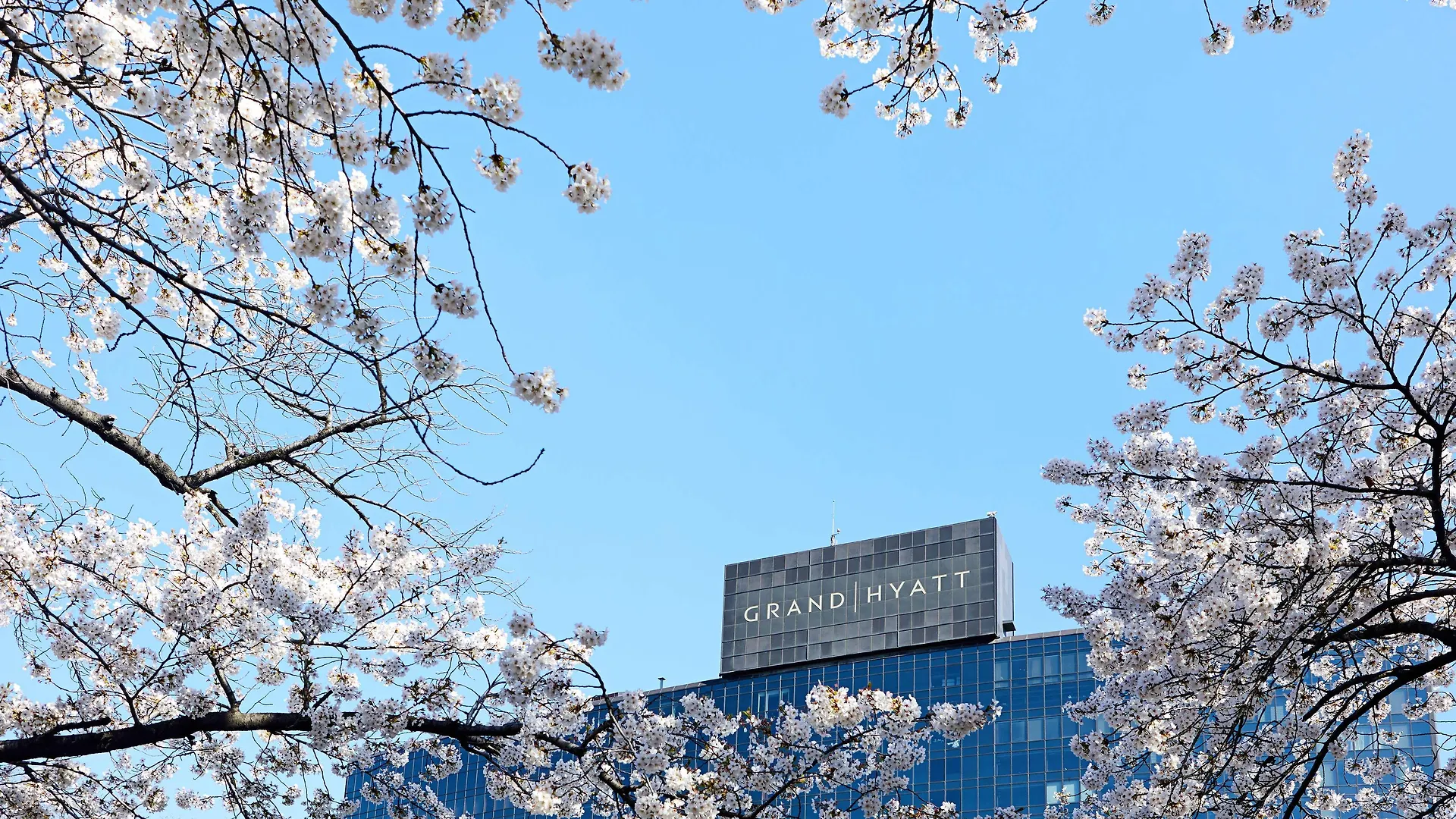 Grand Hyatt Seoul Hotel South Korea